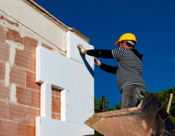 Best Specialized Insulation Services in Bellevue, WI