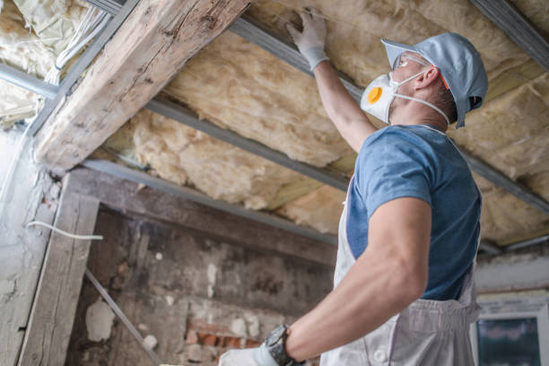 Best Eco-Friendly Insulation in Bellevue, WI