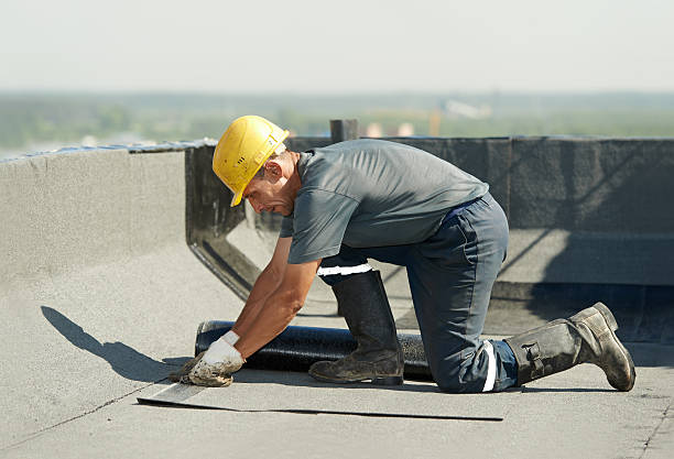Best Energy Efficiency Insulation in Bellevue, WI