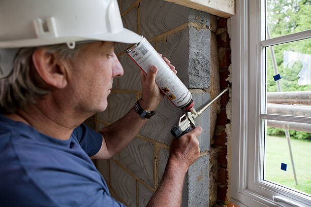Best Geographic-Specific Insulation Services in Bellevue, WI